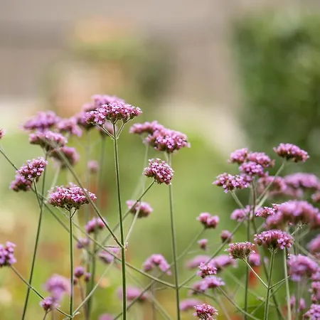 Neuwirt - Boutiquehotel & Wirtshaus Отель