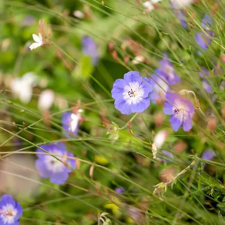 Neuwirt - Boutiquehotel & Wirtshaus バート・ヴィガウン