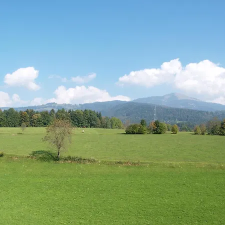 Neuwirt - Boutiquehotel & Wirtshaus 4* Бад-Фигаун