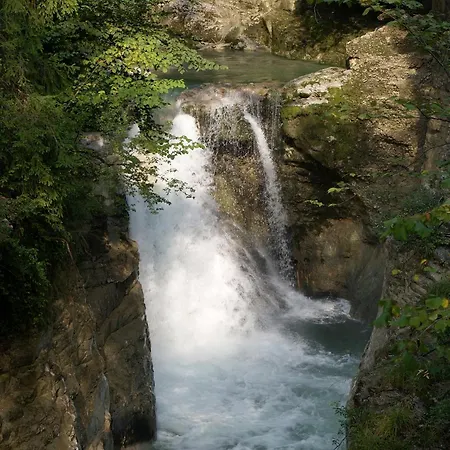 Neuwirt - Boutiquehotel & Wirtshaus