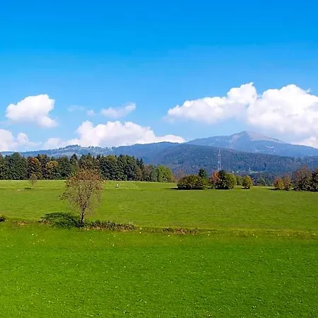 Neuwirt - Boutiquehotel & Wirtshaus 4*