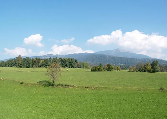 Neuwirt - Boutiquehotel & Wirtshaus 4* Bad Vigaun